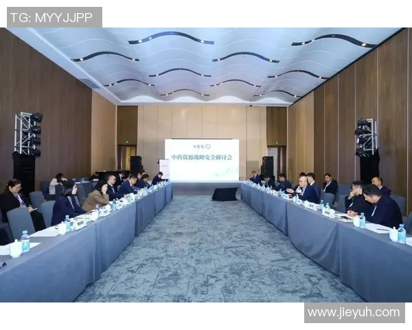 武汉排球队的节奏解析与排球热点动态深度探讨